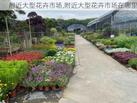 附近大型花卉市场,附近大型花卉市场在哪里