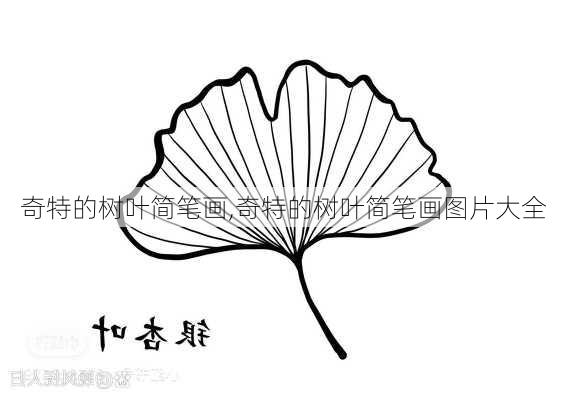 奇特的树叶简笔画,奇特的树叶简笔画图片大全