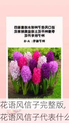 花语风信子完整版,花语风信子代表什么