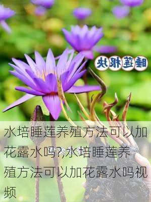 水培睡莲养殖方法可以加花露水吗?,水培睡莲养殖方法可以加花露水吗视频