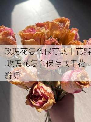 玫瑰花怎么保存成干花瓣,玫瑰花怎么保存成干花瓣呢