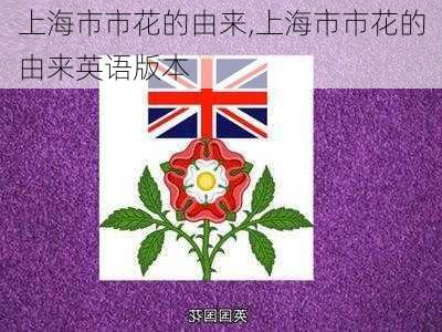 上海市市花的由来,上海市市花的由来英语版本