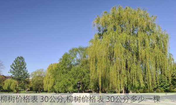 柳树价格表 30公分,柳树价格表 30公分多少一棵