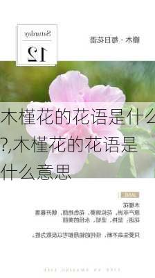 木槿花的花语是什么?,木槿花的花语是什么意思