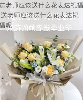 送老师应该送什么花表达祝福,送老师应该送什么花表达祝福呢