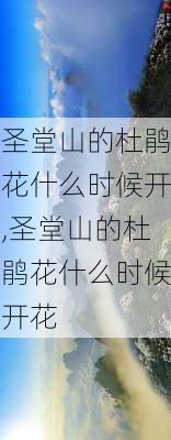 圣堂山的杜鹃花什么时候开,圣堂山的杜鹃花什么时候开花