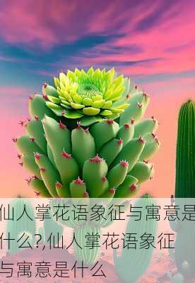 仙人掌花语象征与寓意是什么?,仙人掌花语象征与寓意是什么