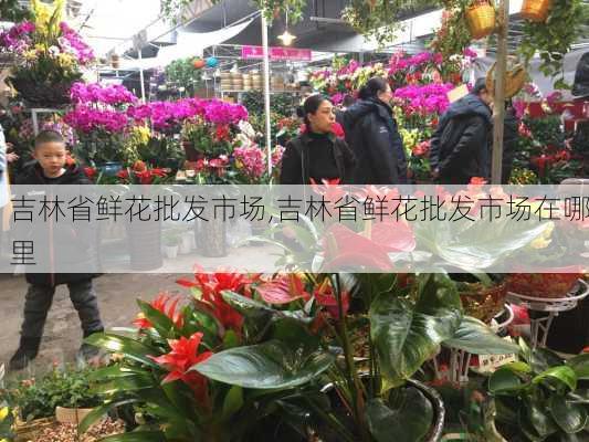 吉林省鲜花批发市场,吉林省鲜花批发市场在哪里