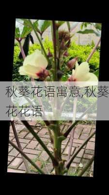 秋葵花语寓意,秋葵花花语