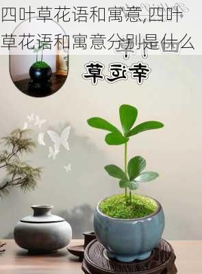 四叶草花语和寓意,四叶草花语和寓意分别是什么