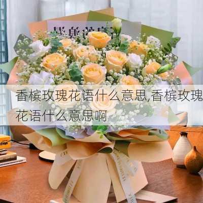 香槟玫瑰花语什么意思,香槟玫瑰花语什么意思啊