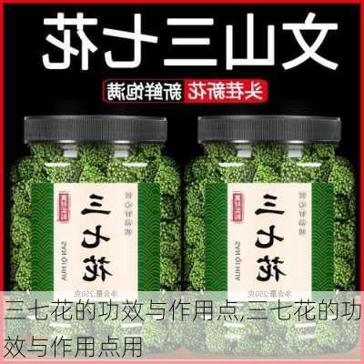 三七花的功效与作用点,三七花的功效与作用点用