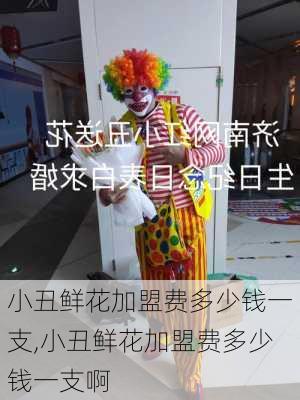 小丑鲜花加盟费多少钱一支,小丑鲜花加盟费多少钱一支啊