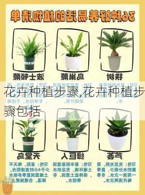 花卉种植步骤,花卉种植步骤包括