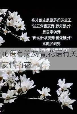 花语有关友情,花语有关友情的花