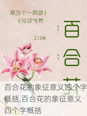 百合花的象征意义四个字概括,百合花的象征意义四个字概括