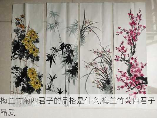 梅兰竹菊四君子的品格是什么,梅兰竹菊四君子品质