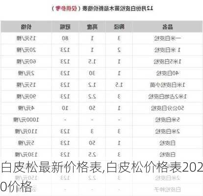 白皮松最新价格表,白皮松价格表2020价格