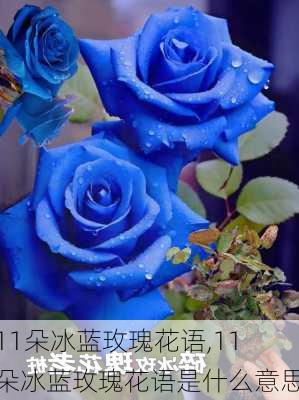 11朵冰蓝玫瑰花语,11朵冰蓝玫瑰花语是什么意思