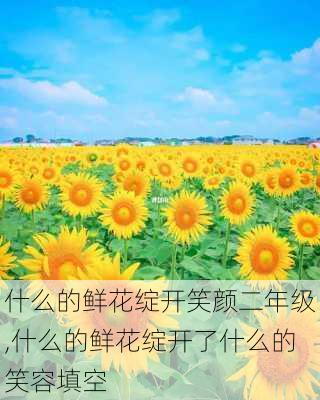 什么的鲜花绽开笑颜二年级,什么的鲜花绽开了什么的笑容填空