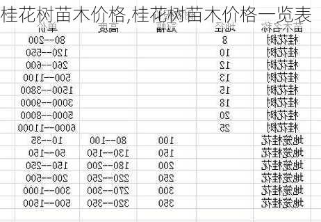 桂花树苗木价格,桂花树苗木价格一览表