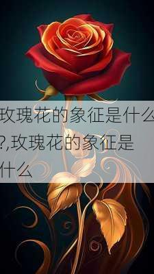 玫瑰花的象征是什么?,玫瑰花的象征是什么