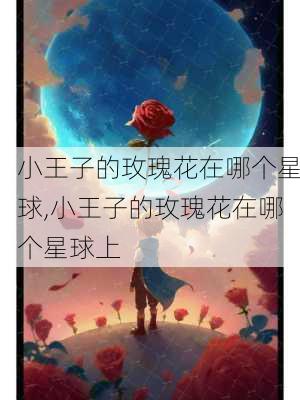 小王子的玫瑰花在哪个星球,小王子的玫瑰花在哪个星球上