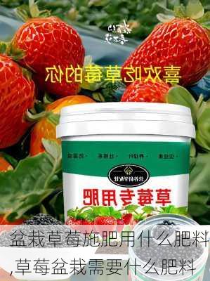 盆栽草莓施肥用什么肥料,草莓盆栽需要什么肥料