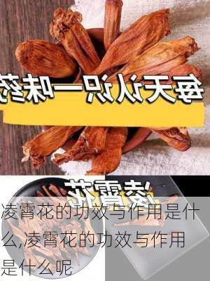 凌霄花的功效与作用是什么,凌霄花的功效与作用是什么呢