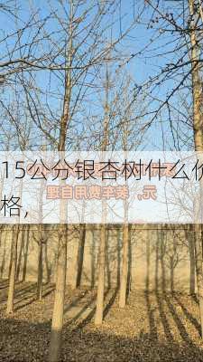 15公分银杏树什么价格,