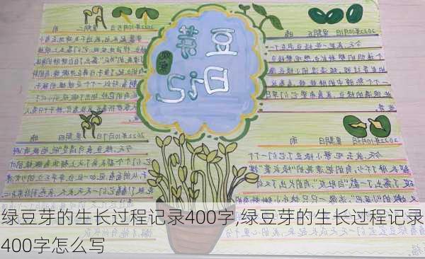 绿豆芽的生长过程记录400字,绿豆芽的生长过程记录400字怎么写