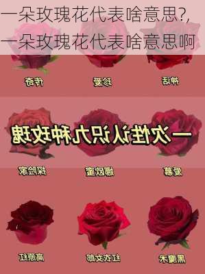 一朵玫瑰花代表啥意思?,一朵玫瑰花代表啥意思啊