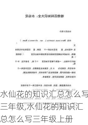 水仙花的知识汇总怎么写三年级,水仙花的知识汇总怎么写三年级上册