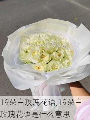 19朵白玫瑰花语,19朵白玫瑰花语是什么意思