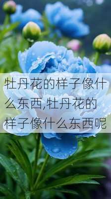 牡丹花的样子像什么东西,牡丹花的样子像什么东西呢