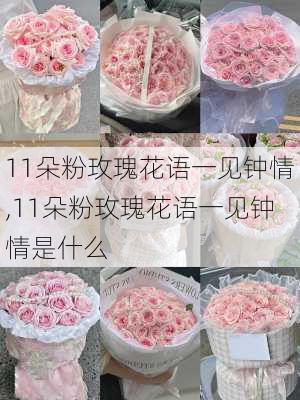 11朵粉玫瑰花语一见钟情,11朵粉玫瑰花语一见钟情是什么