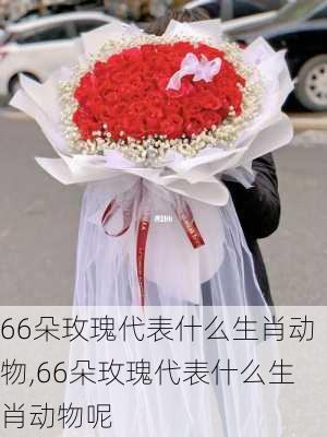 66朵玫瑰代表什么生肖动物,66朵玫瑰代表什么生肖动物呢