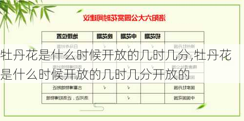 牡丹花是什么时候开放的几时几分,牡丹花是什么时候开放的几时几分开放的