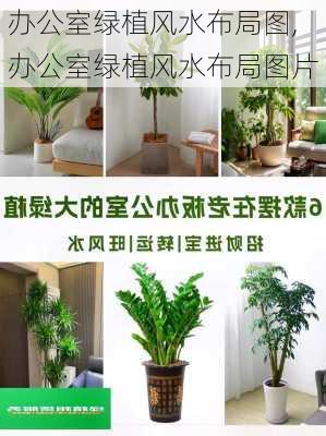 办公室绿植风水布局图,办公室绿植风水布局图片