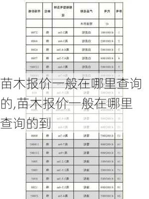 苗木报价一般在哪里查询的,苗木报价一般在哪里查询的到