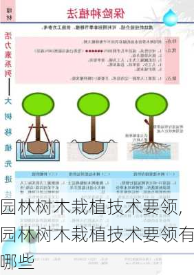 园林树木栽植技术要领,园林树木栽植技术要领有哪些