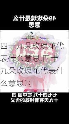 四十九朵玫瑰花代表什么意思,四十九朵玫瑰花代表什么意思啊