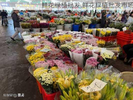 鲜花绿植批发,鲜花绿植批发市场