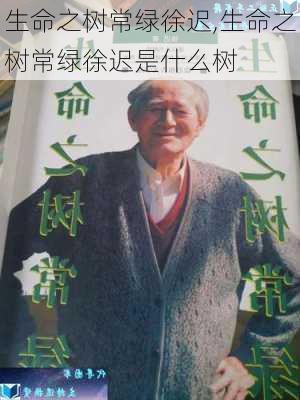 生命之树常绿徐迟,生命之树常绿徐迟是什么树