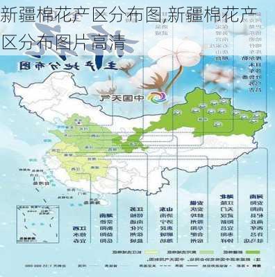 新疆棉花产区分布图,新疆棉花产区分布图片高清