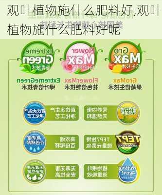 观叶植物施什么肥料好,观叶植物施什么肥料好呢