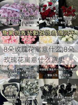 8朵玫瑰花寓意什么,8朵玫瑰花寓意什么意思