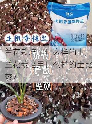 兰花栽培用什么样的土,兰花栽培用什么样的土比较好