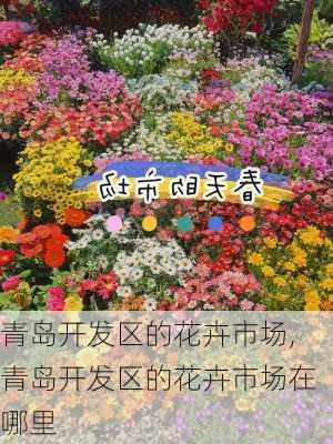 青岛开发区的花卉市场,青岛开发区的花卉市场在哪里