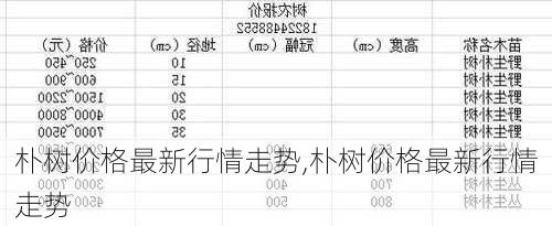 朴树价格最新行情走势,朴树价格最新行情走势